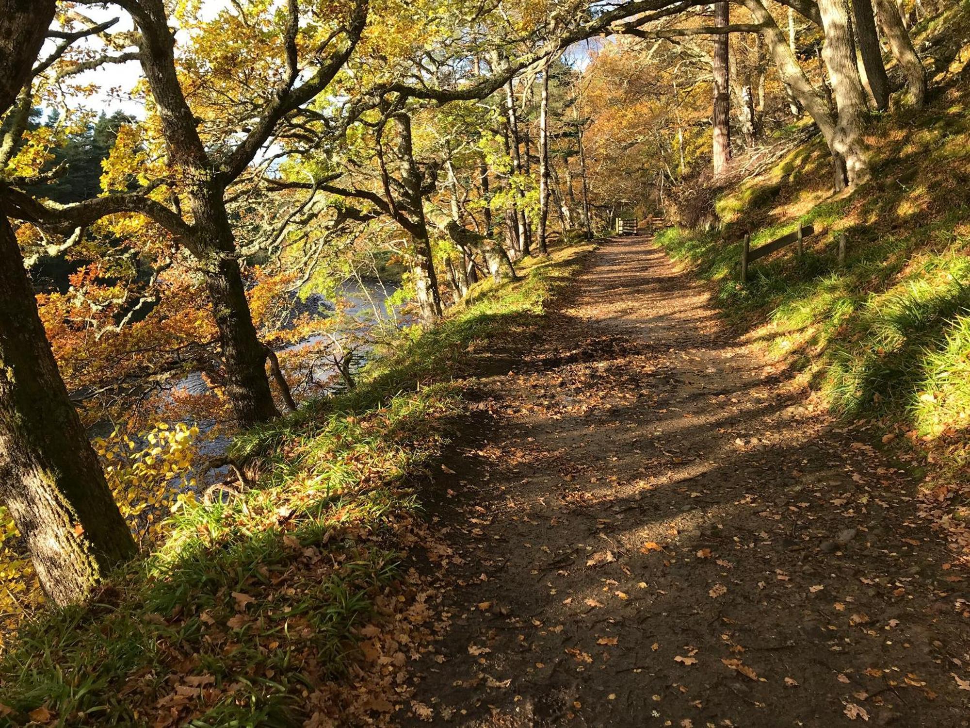 Sycamore Cottage - Uk45923 Ballater Ngoại thất bức ảnh